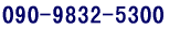 090-9832-5300